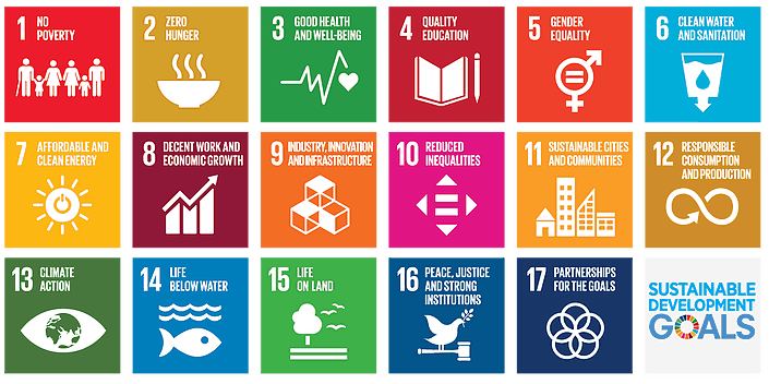 Sustainable Development Goals Icons